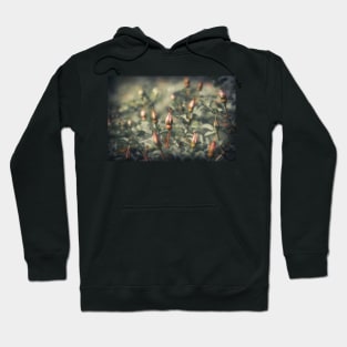 Unblown Rose Bush Hoodie